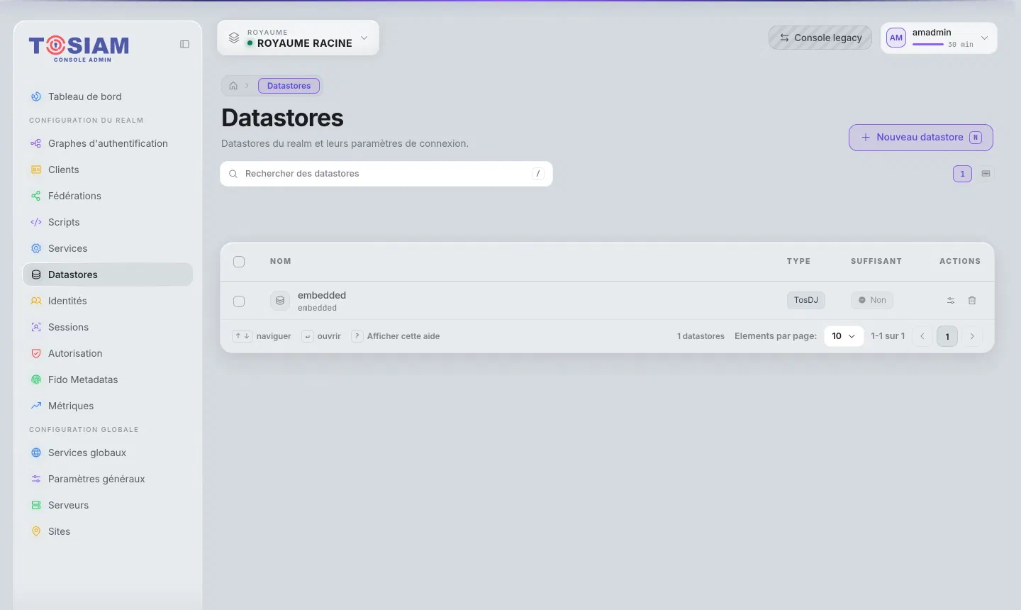 Menu Datastores de la console : le datastore embedded de type TosDJ, colonne Suffisant à Non