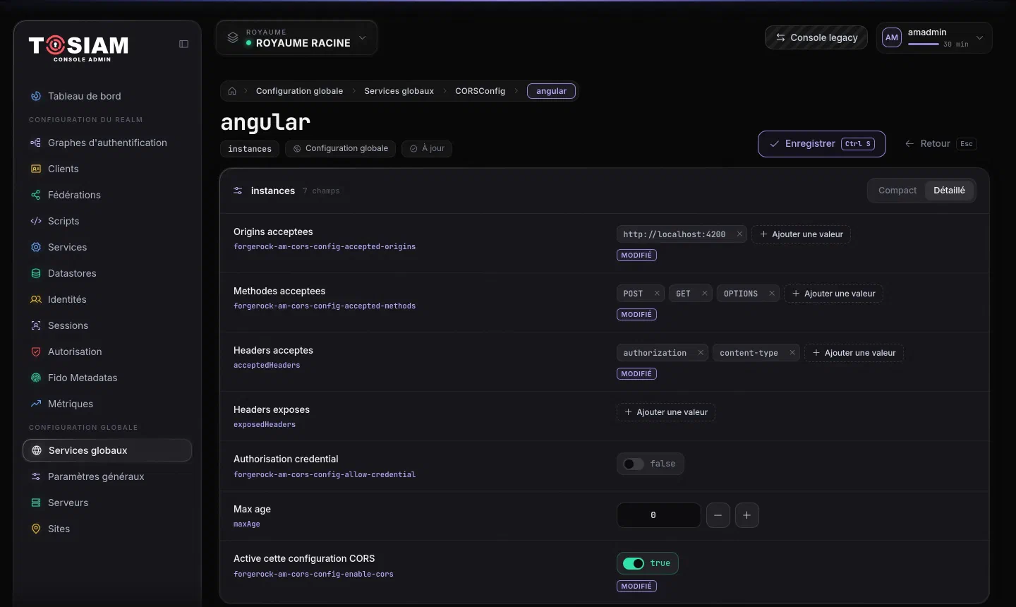 Configuration CORS angular : origine http://localhost:4200, méthodes POST GET OPTIONS, en-têtes authorization content-type, configuration active