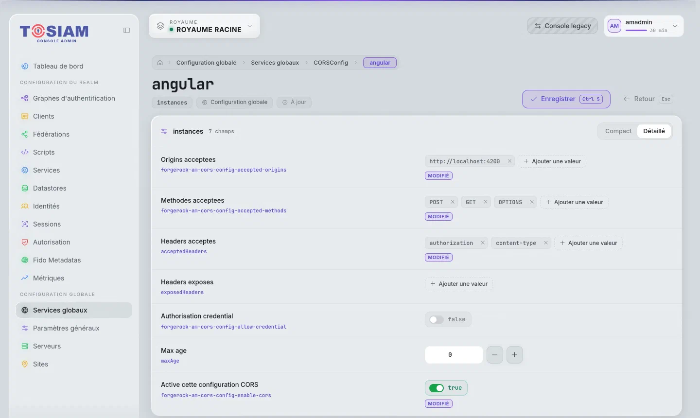Configuration CORS angular : origine http://localhost:4200, méthodes POST GET OPTIONS, en-têtes authorization content-type, configuration active